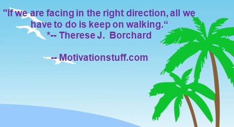 If we are facing in the right direction, all we have to do is keep on walking. *-- Therese J.  Borchard